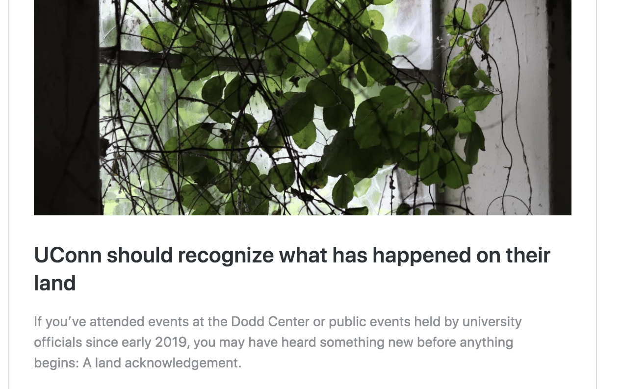 News article header Image of a green plant against a window