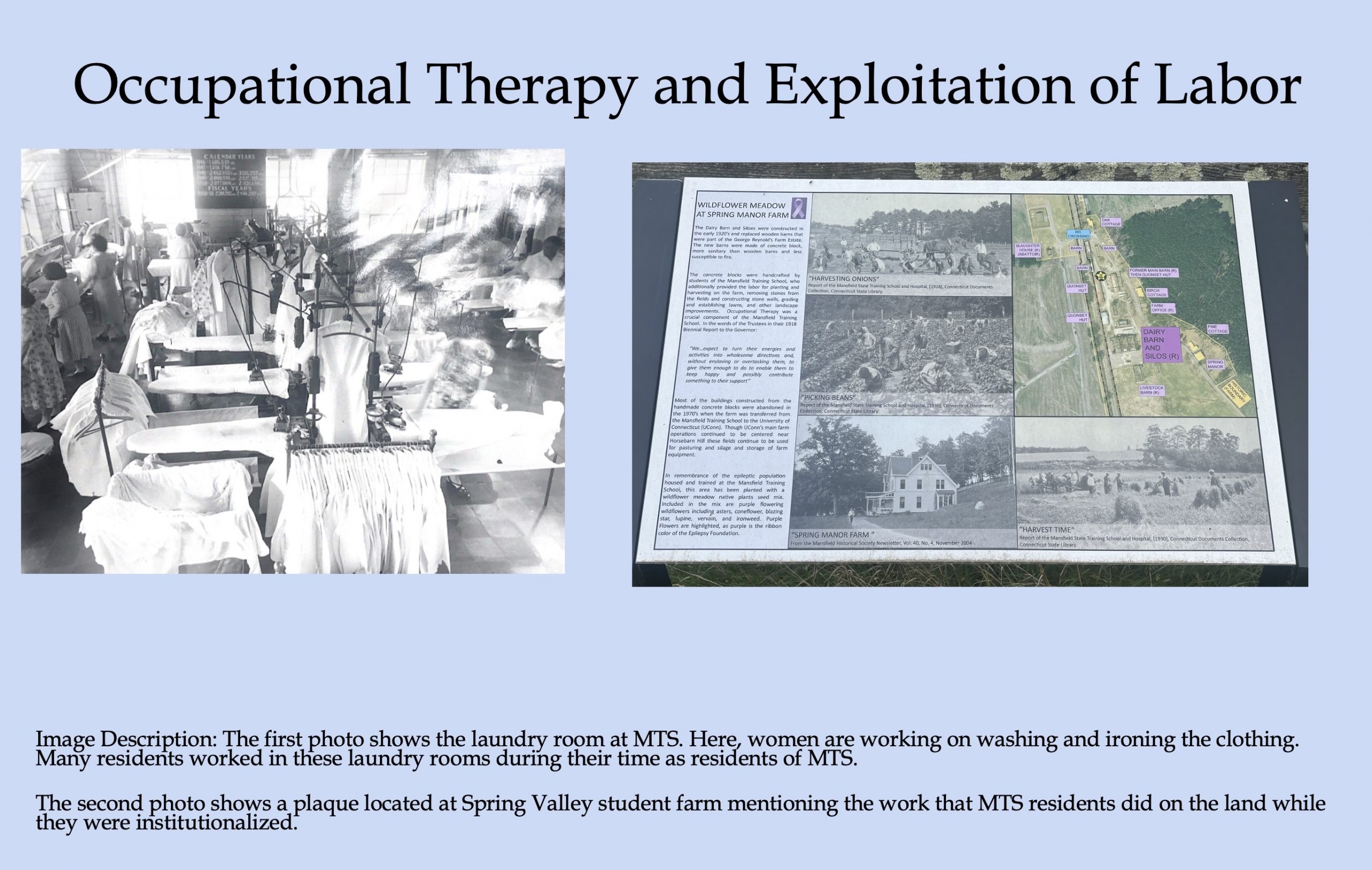Image 5-29-26 at 11.49 AM (2) A presentation slide titled "Occupational Therapy and Exploitation of Labor" with two images. The left is a black-and-white photograph of women working in the laundry room at Mansfield Training School, washing and ironing clothing. The right is a photograph of an outdoor historical plaque at Spring Manor Farm describing how MTS residents provided labor for farming, constructing buildings, and landscaping, with the work framed as "occupational therapy."