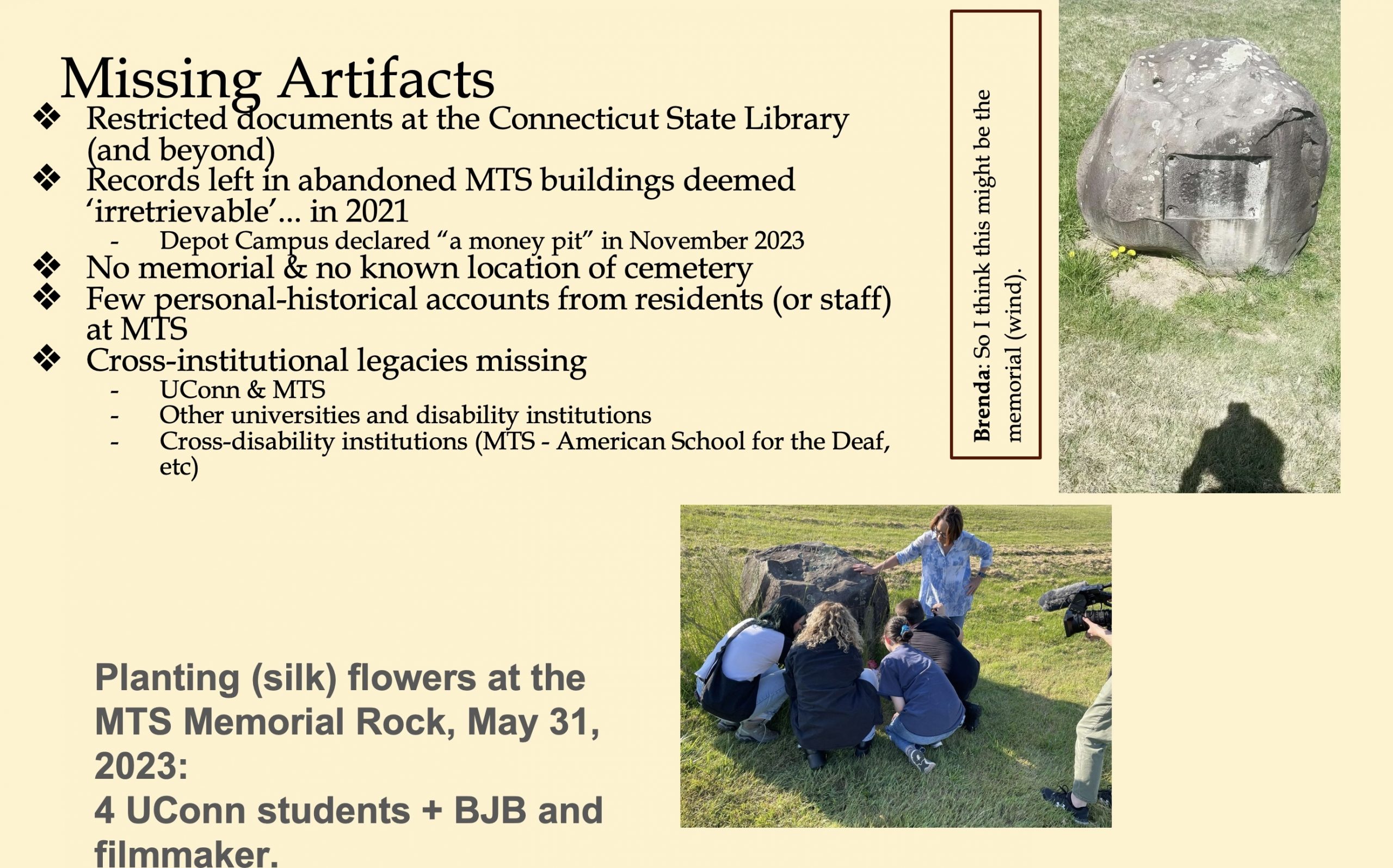 Image 5-29-26 at 11.51 AM (2) A presentation slide titled "Missing Artifacts" on a pale yellow background listing five categories of historical gaps in the MTS record: restricted documents at the Connecticut State Library; records in abandoned MTS buildings declared irretrievable in 2021 (with the Depot Campus called "a money pit" in 2023); no memorial and no known cemetery location; few personal or historical accounts from residents or staff; and missing cross-institutional legacies connecting MTS to UConn, other universities, and cross-disability institutions. A vertical sidebar note by "Brenda" reads: "So I think this might be the memorial (wind)." A photograph at the bottom shows four UConn students, an instructor, and a filmmaker kneeling and gathered around a large boulder in an open field, planting silk flowers at the MTS Memorial Rock on May 31, 2023.